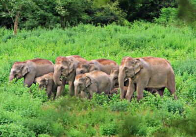 What is the best time to visit Laos?